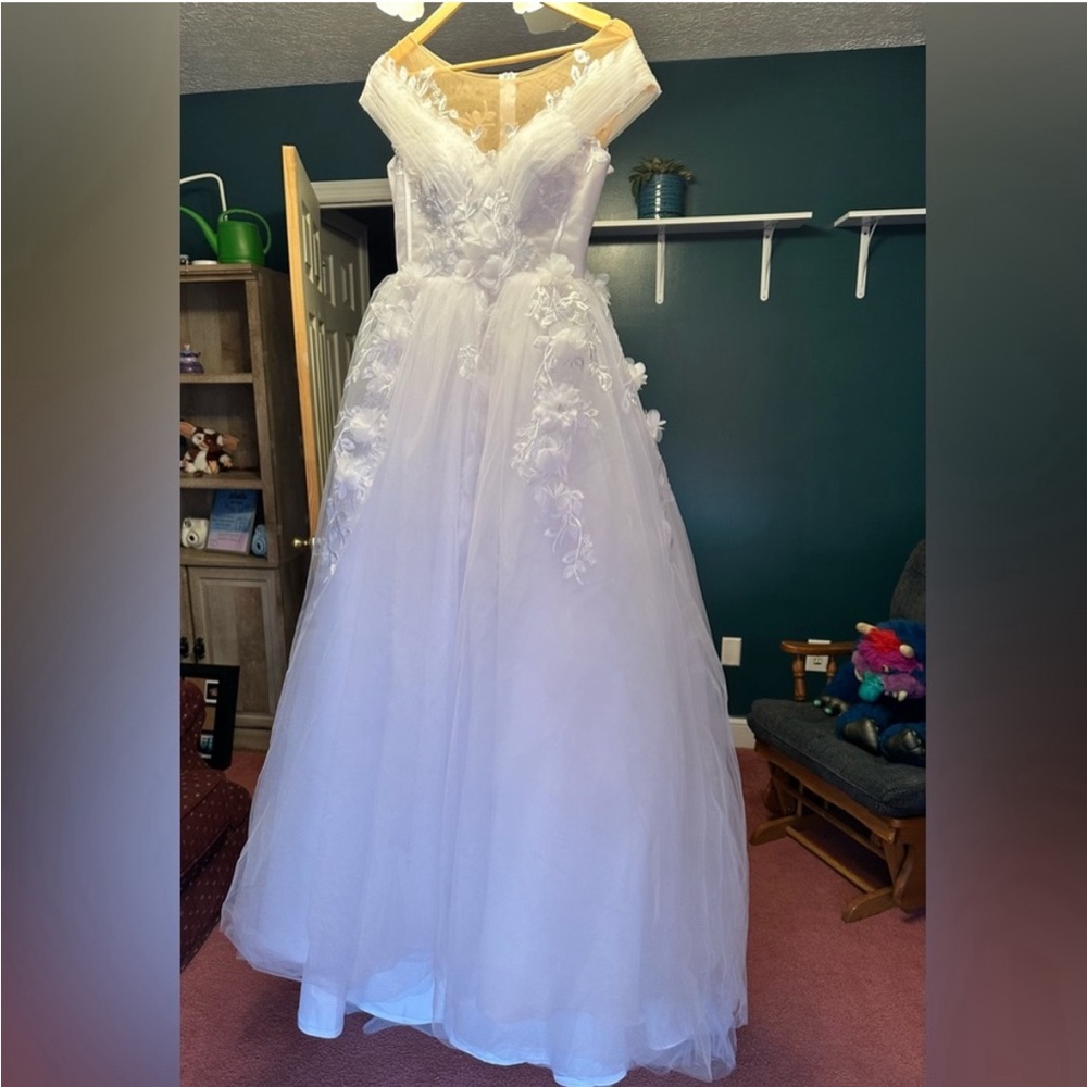 Wedding dress. Never worn. (Except for pictures you see posted)